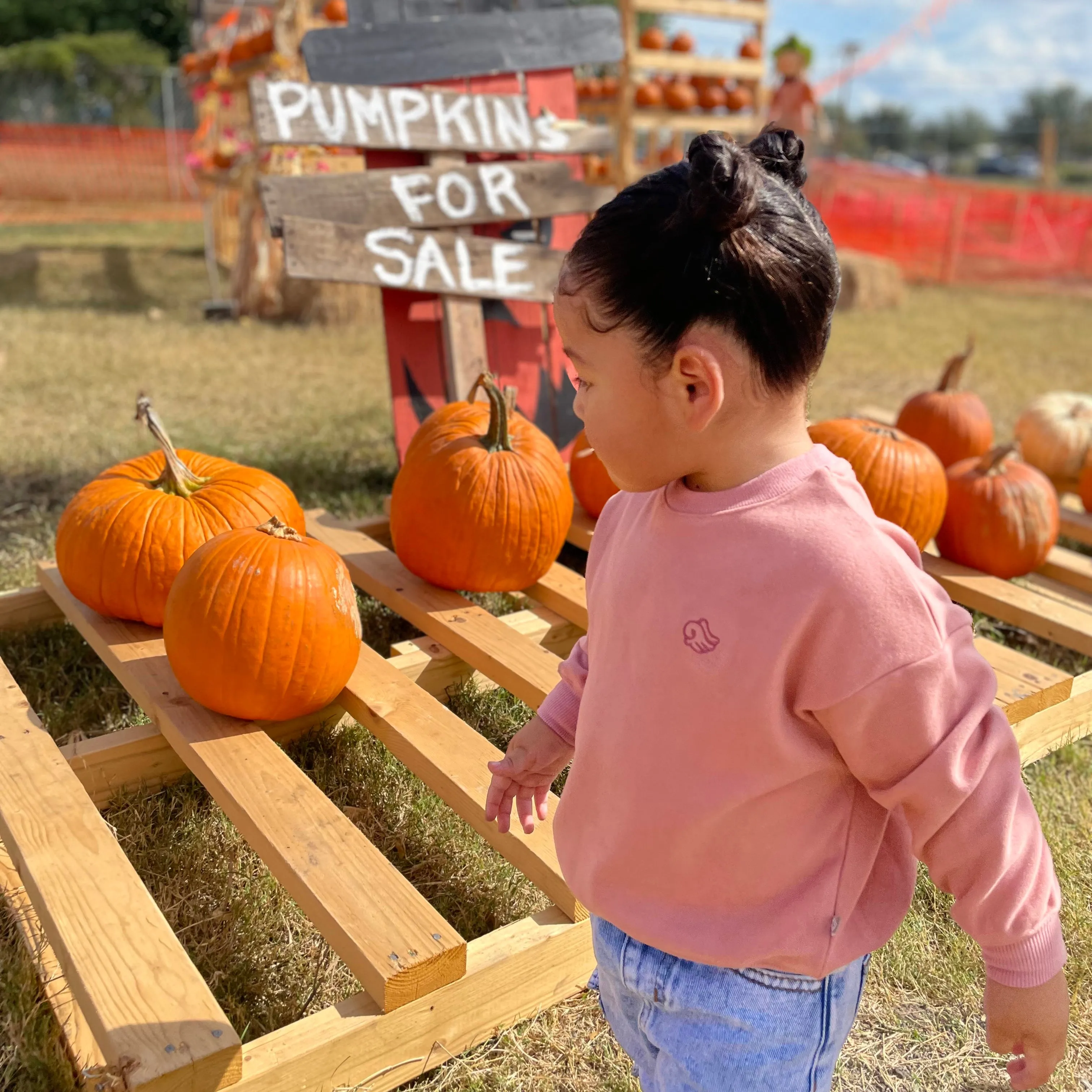 About Baby Shop Arven Sweatshirt