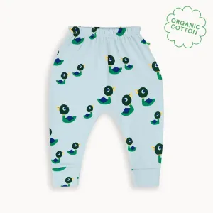 Braeburn - Ducks Harem Trouser