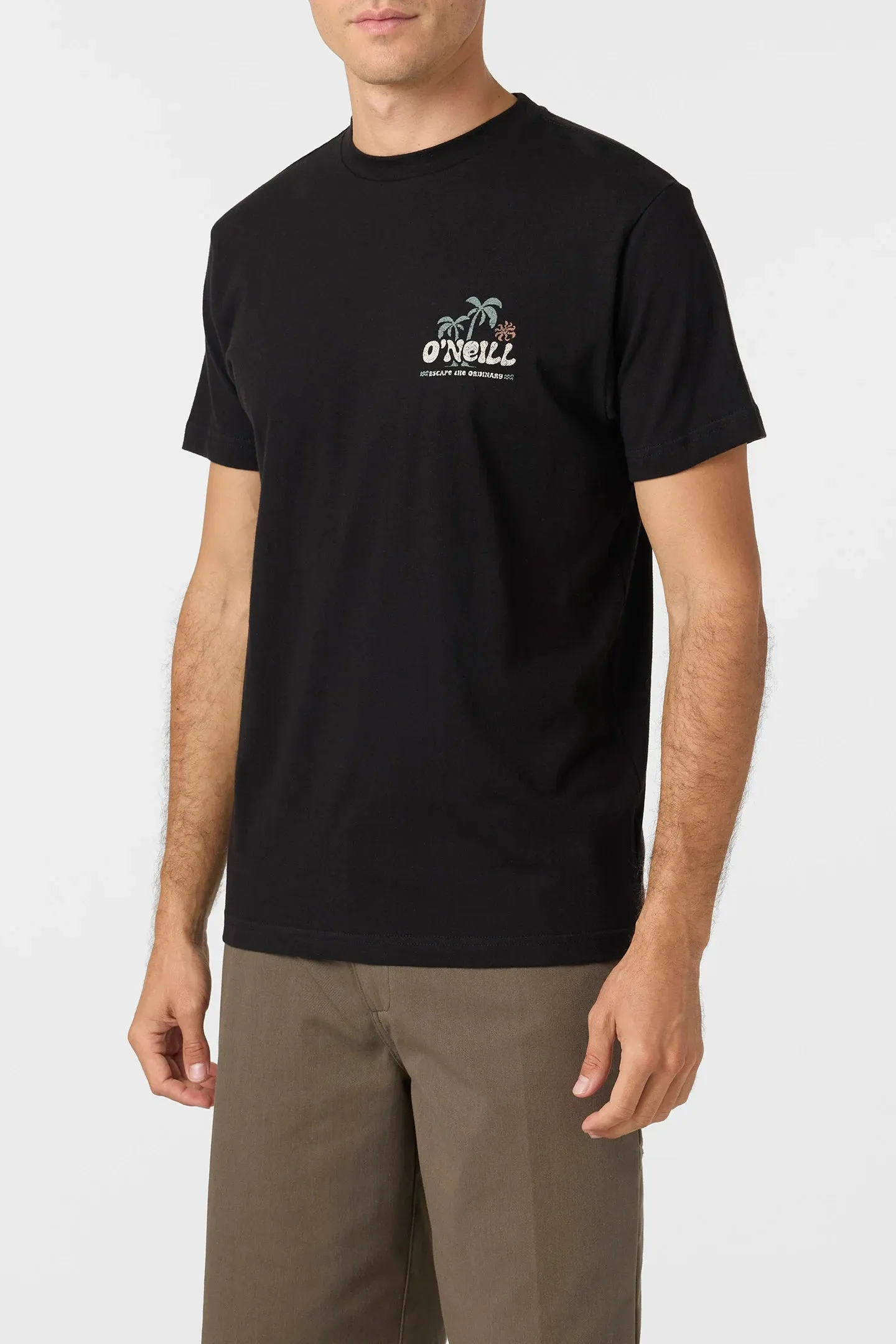 Oneill Men's Loose Standard Tee
