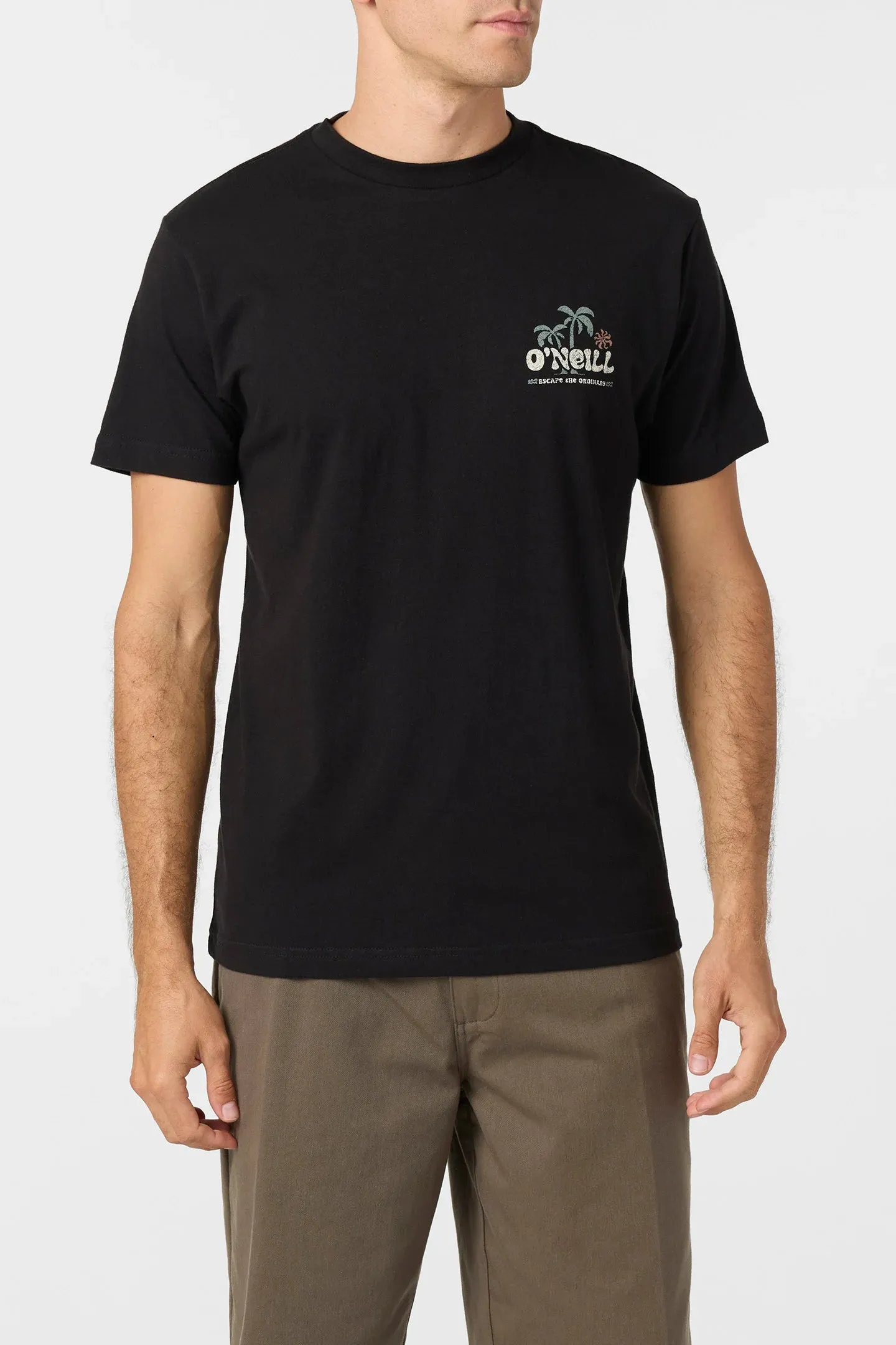 Oneill Men's Loose Standard Tee