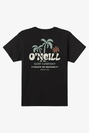 Oneill Men's Loose Standard Tee