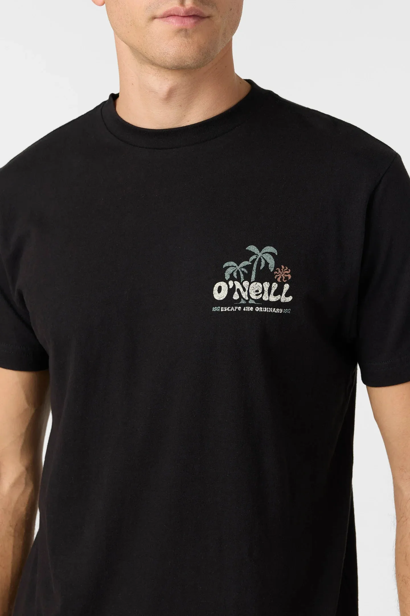 Oneill Men's Loose Standard Tee