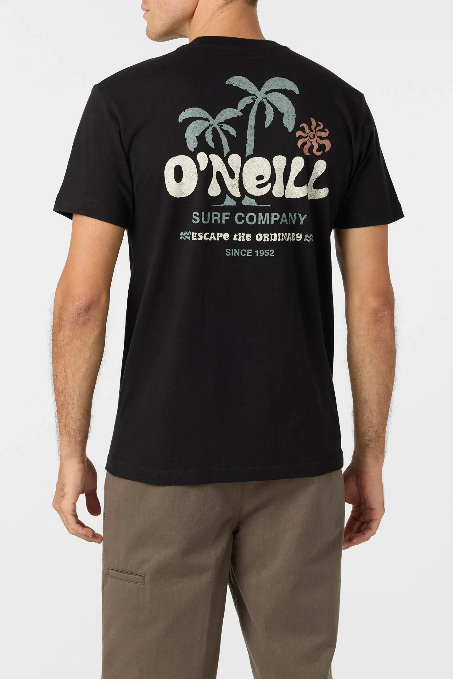 Oneill Men's Loose Standard Tee