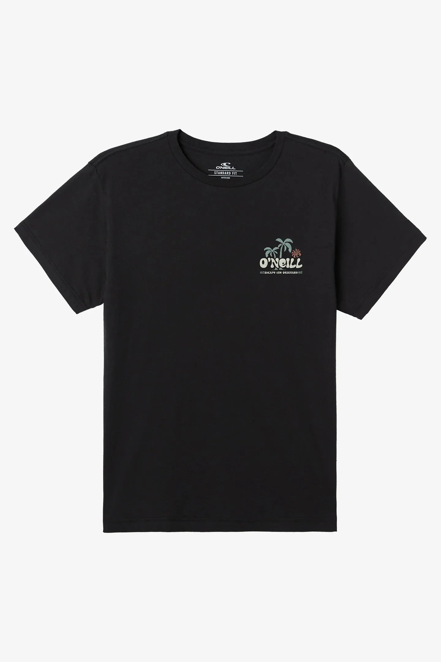 Oneill Men's Loose Standard Tee