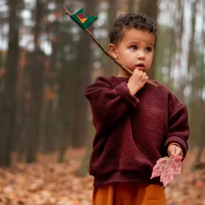 ROBIN CREWNECK