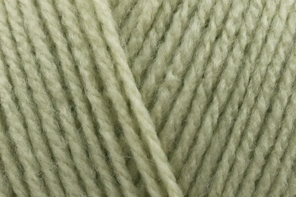 Stylecraft Special DK - Mushy Peas 2173